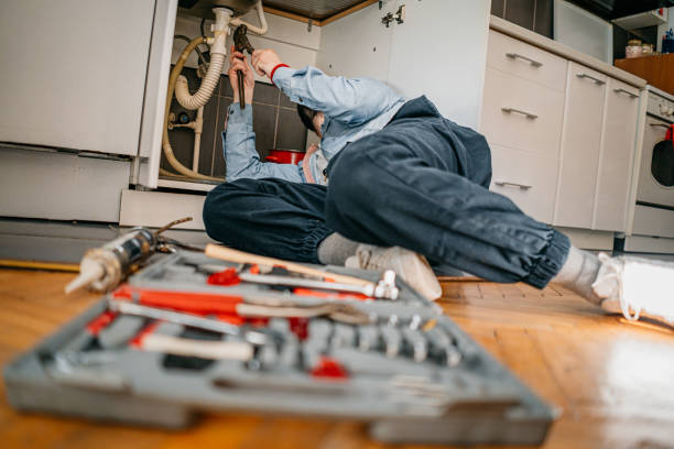 Best Leak Detection Services  in Stockton, IL