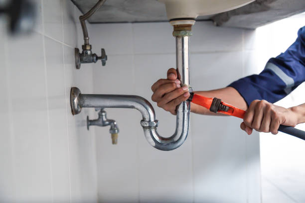 Best Residential Plumbing Services  in Stockton, IL