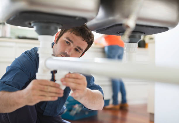 Best Plumbing Inspection Services  in Stockton, IL