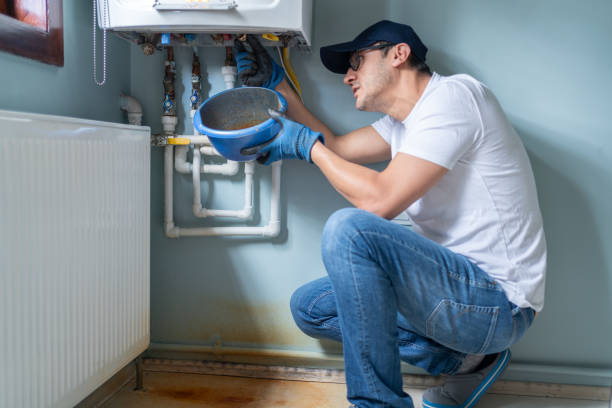 Best Clogged Drain Plumber  in Stockton, IL