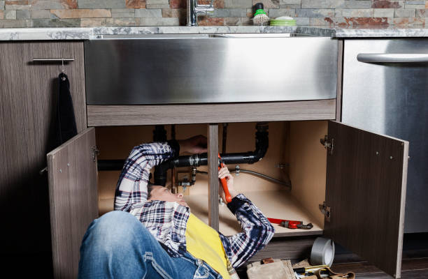 Best Plumbing Services Near Me  in Stockton, IL