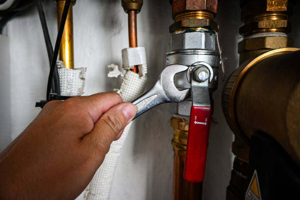 Best Emergency Plumber  in Stockton, IL